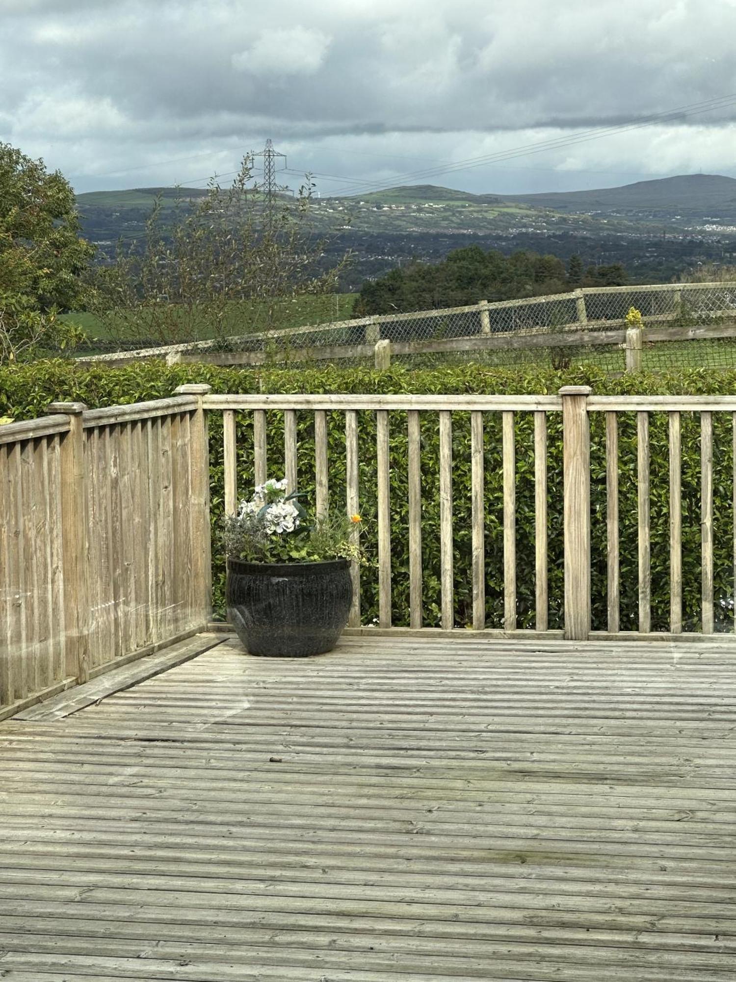 Dunhill Cottage B&B Hillsborough Exteriör bild