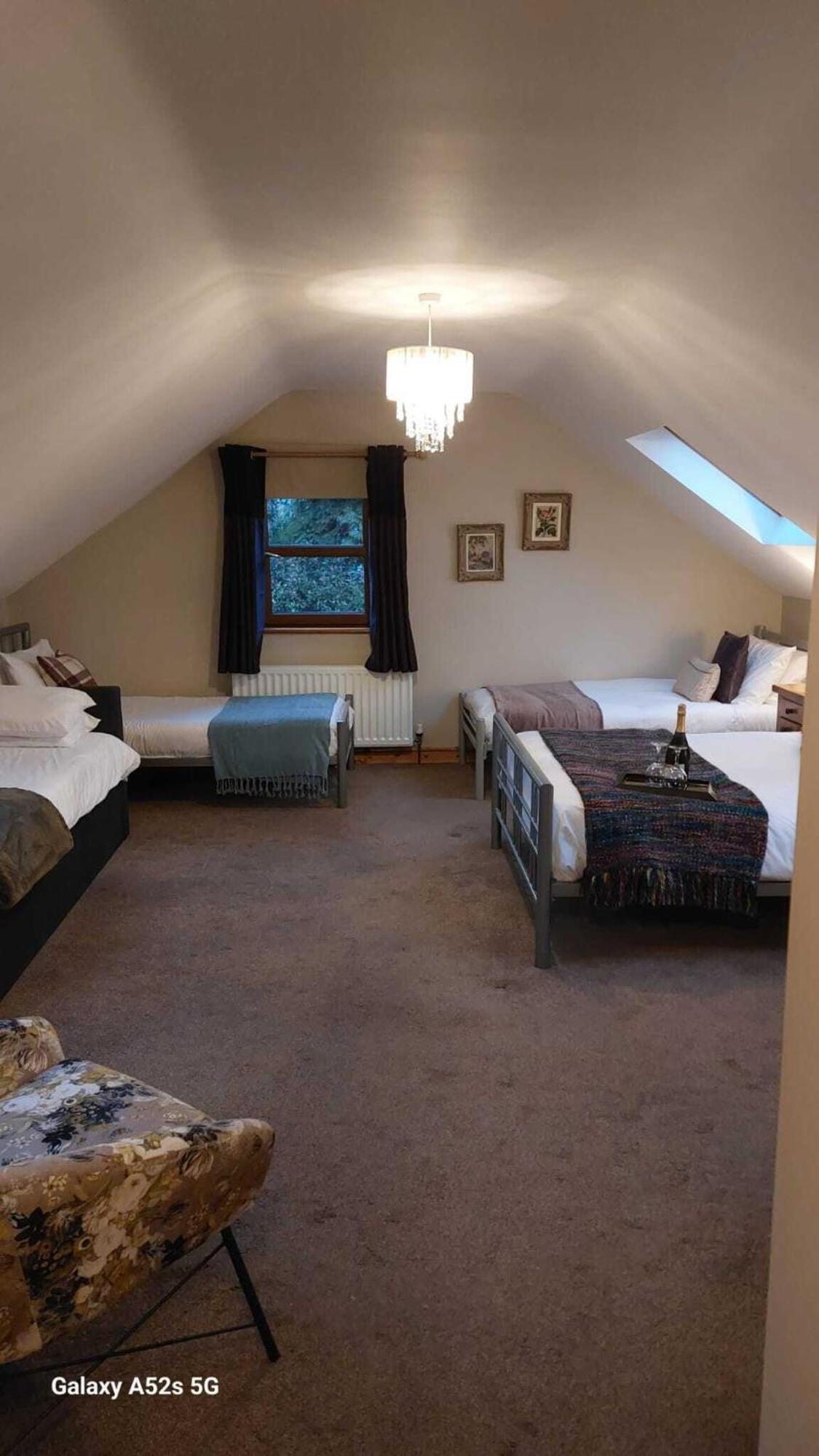 Dunhill Cottage B&B Hillsborough Rum bild